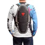 Защита спины Dainese